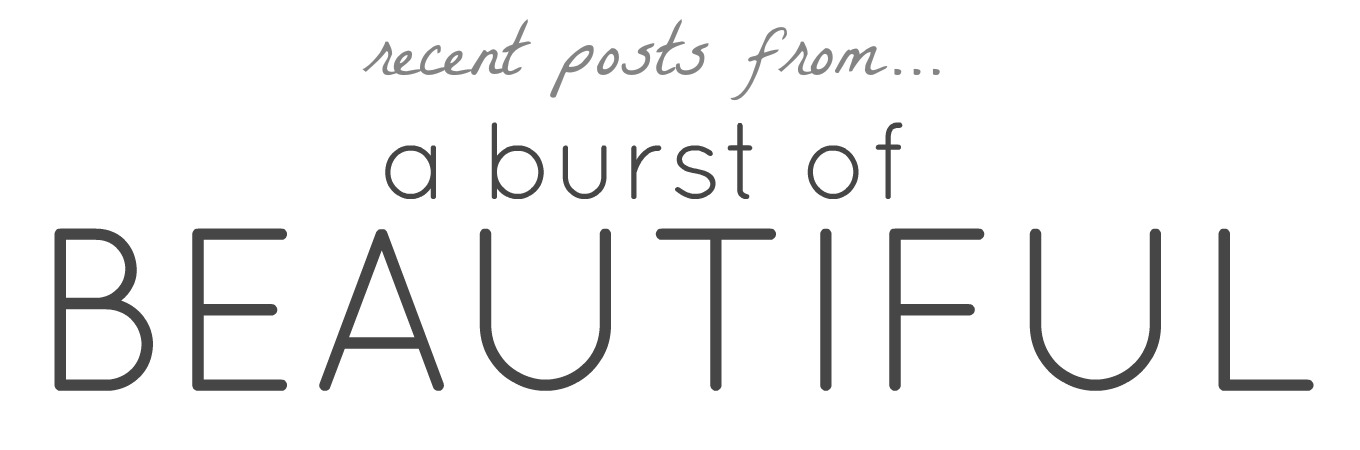 Recent Posts From_A Burst of Beautiful_2016