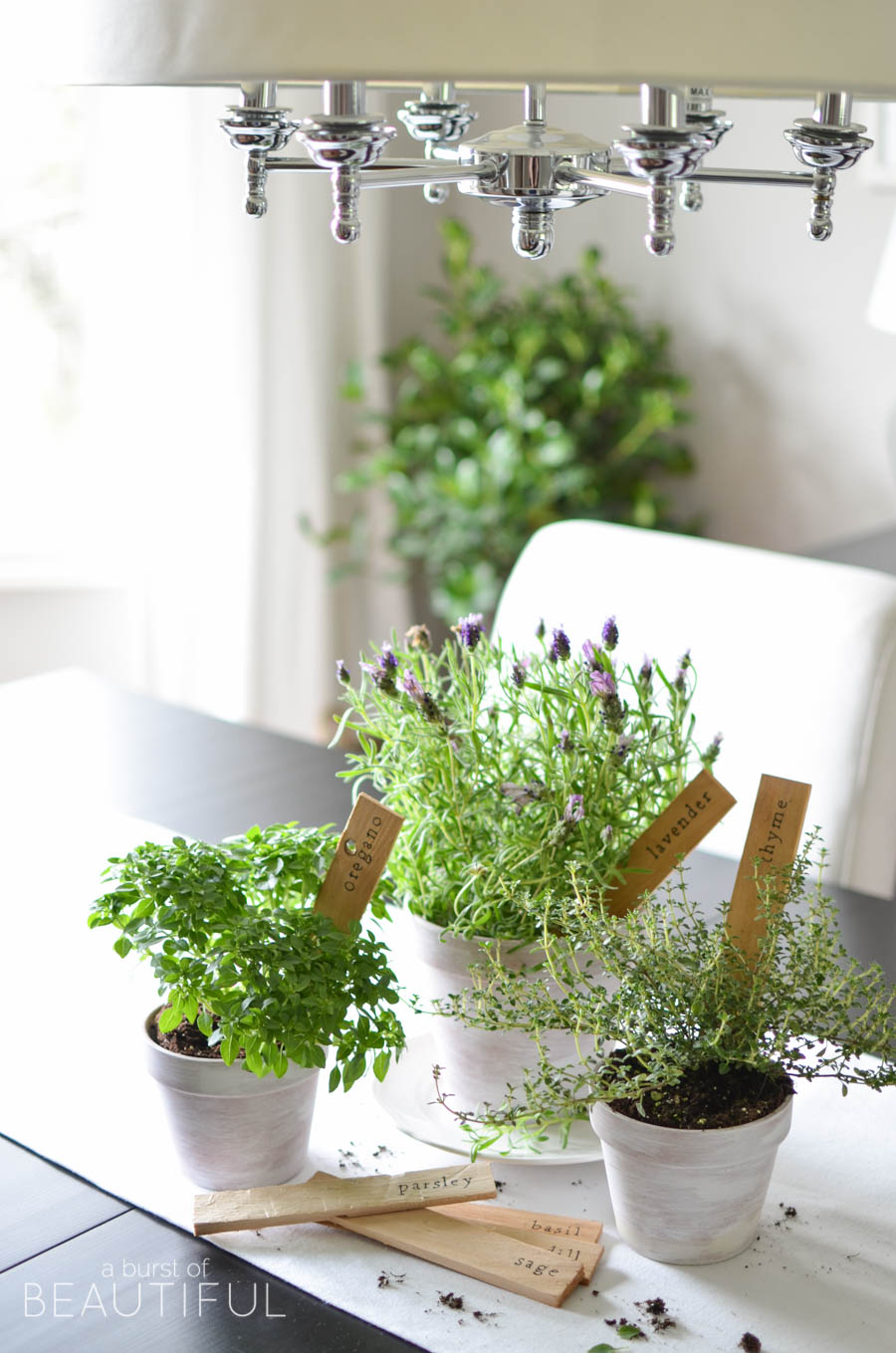20 Creative DIY Plant Marker Ideas- There's no need to spend money on boring commercial garden markers if you have some basic DIY skills. Instead, check out these cute and clever DIY plant marker ideas! | how to label plants in your garden, ideas for making plant markers, label your herbs, garden markers, #gardening #DIY #garden #craft #ACultivatedNest