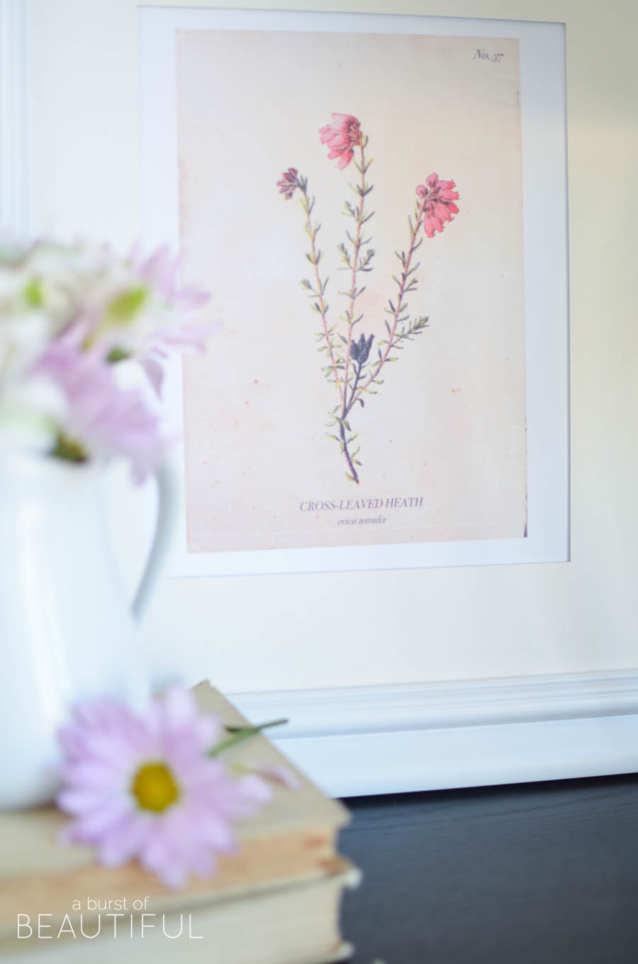 A set of four vintage wild flower botanical prints are an easy way to add charm and character to any home. Download them for free at www.aburstofbeautiful.com 